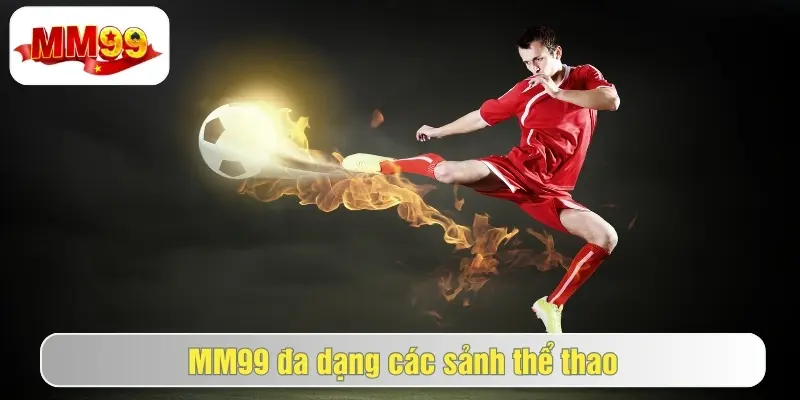 tổng hợp các sảnh cược thể thao tại mm99
